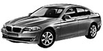 BMW F10 U20CD Fault Code